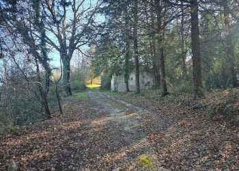 20250204_150358.jpg - Casale Strada Provinciale 45 snc, Castel Viscardo - photo 28