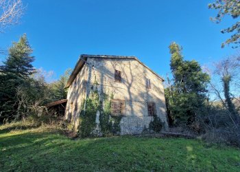 20241229_095434.jpg - Casale Strada di Spiccalonto, Amelia - photo 1