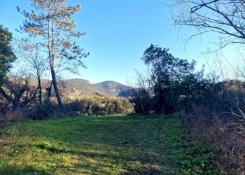 20241229_100412.jpg - Casale Strada di Spiccalonto, Amelia - photo 25