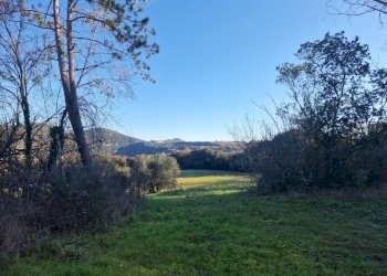 20241229_095450.jpg - Casale Strada di Spiccalonto, Amelia - photo 27