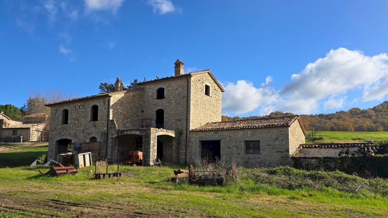 front1.jpg - Azienda agricola Vocabolo Capanni snc, Baschi - foto 2