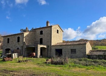 front1.jpg - Azienda agricola Vocabolo Capanni snc, Baschi - foto 2