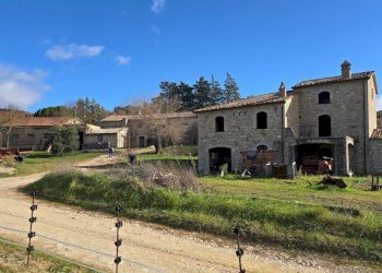 casali1.jpg - Azienda agricola Vocabolo Capanni snc, Baschi - foto 8