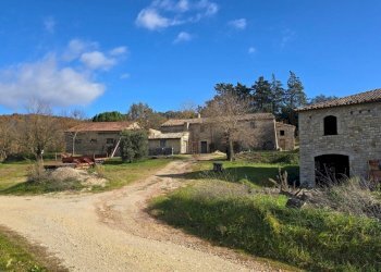 casale9.jpg - Azienda agricola Vocabolo Capanni snc, Baschi - foto 9