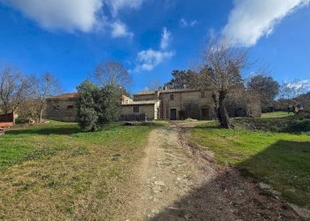 20241130_105223.jpg - Azienda agricola Vocabolo Capanni snc, Baschi - foto 10