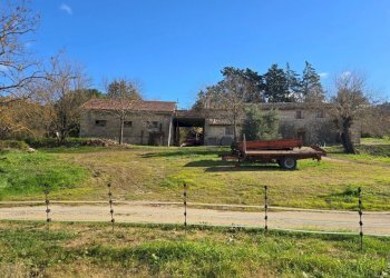 casale8.jpg - Azienda agricola Vocabolo Capanni snc, Baschi - foto 11