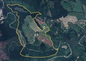 land.JPG - Azienda agricola Vocabolo Capanni snc, Baschi - foto 20