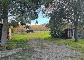 terreno.jpg - Azienda agricola Vocabolo Capanni snc, Baschi - foto 28