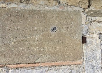 antico.jpg - Azienda agricola Vocabolo Capanni snc, Baschi - foto 30