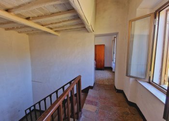 20240911_103114.jpg - Terratetto - Terracielo Via del Fossato, Guardea - foto 4