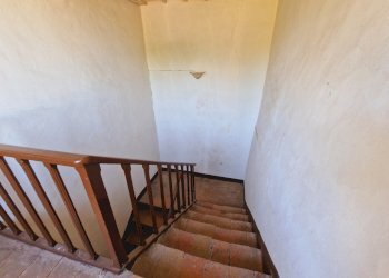 20240911_103148.jpg - Terratetto - Terracielo Via del Fossato, Guardea - foto 9