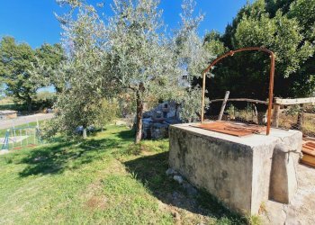 20240911_103439.jpg - Terratetto - Terracielo Via del Fossato, Guardea - foto 27