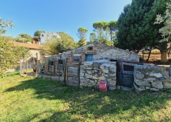 20240911_103506.jpg - Terratetto - Terracielo Via del Fossato, Guardea - foto 28