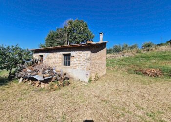 20240911_103726.jpg - Terratetto - Terracielo Via del Fossato, Guardea - foto 30