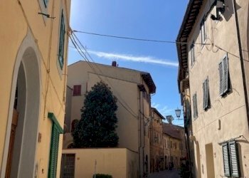 IMG_8664.jpg - Terratetto - Terracielo Vicopisano - foto 16