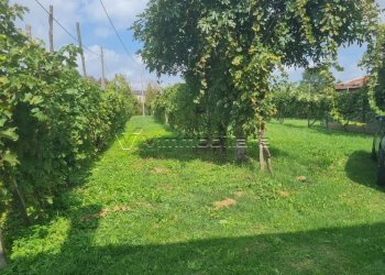 Villa Trifamiliare Via Strada Pozzetto 20, Albettone - foto 13