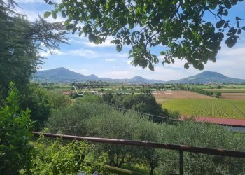 Appartamento Via Tessara 21, Albettone - foto 23