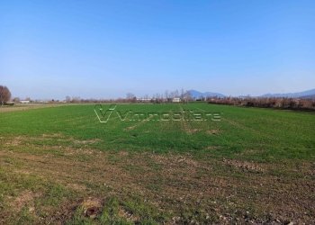 23928.jpg - Magazzino via disturbo 10, Agugliaro - foto 5