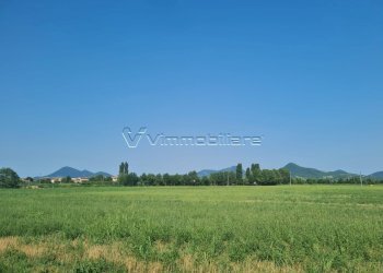 23208.jpg - Magazzino via disturbo 10, Agugliaro - foto 6