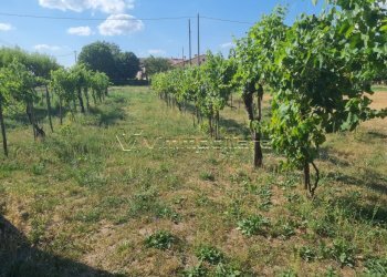 Rustico via caselle 43, Noventa Vicentina - foto 9