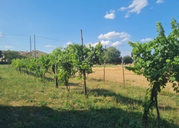 Rustico via caselle 43, Noventa Vicentina - foto 10