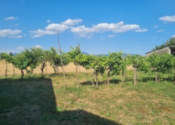 Rustico via caselle 43, Noventa Vicentina - foto 11