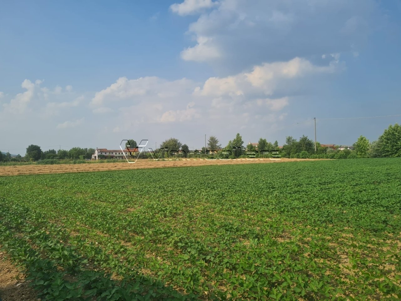 Agricultural land Via Cà Montanare, Barbarano Mossano - photo 2