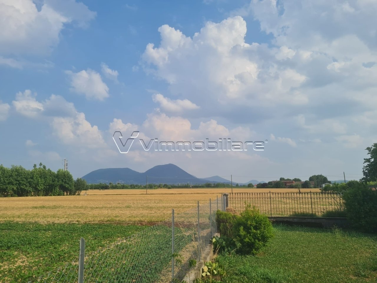 Agricultural land Via Cà Montanare, Barbarano Mossano - photo 3