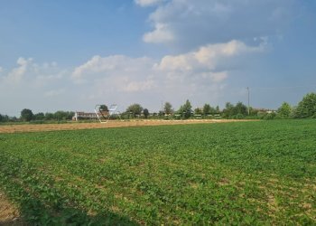 Terreno agricolo Via Cà Montanare, Barbarano Mossano - foto 2