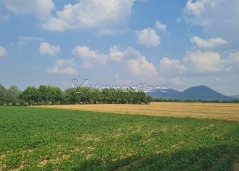 Terreno agricolo Via Cà Montanare, Barbarano Mossano - foto 4