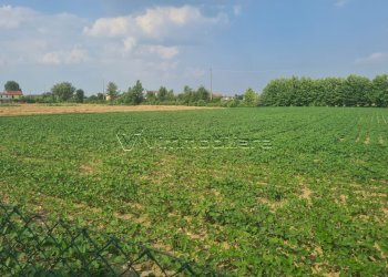 Terreno agricolo Via Cà Montanare, Barbarano Mossano - foto 6