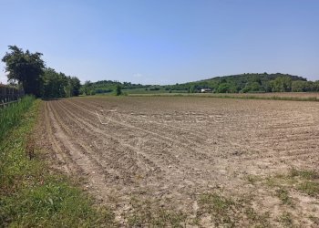 Terreno agricolo Via Buse, Barbarano Mossano - foto 1