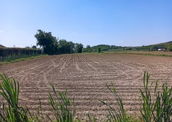 Terreno agricolo Via Buse, Barbarano Mossano - foto 2
