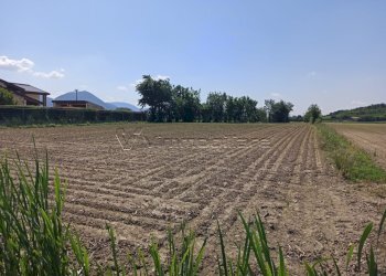 Terreno agricolo Via Buse, Barbarano Mossano - foto 3