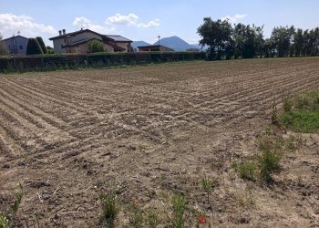 Terreno agricolo Via Buse, Barbarano Mossano - foto 4