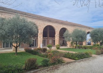 WhatsApp Image 2025-03-26 at 11.48.35 (2).jpg - Quadrilocale via capovilla 1/A, Noventa Vicentina - foto 8