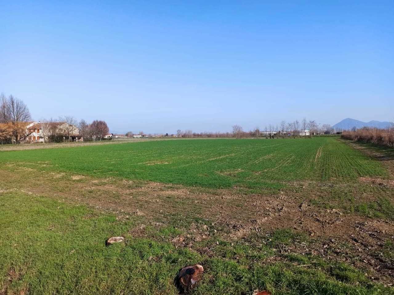 WhatsApp Image 2025-02-17 at 10.52.10.jpeg - Terreno agricolo Via Are 95, Noventa Vicentina - foto 3