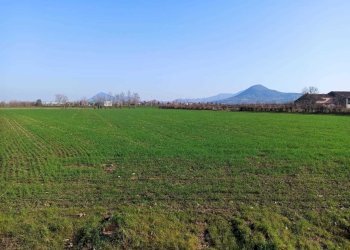 WhatsApp Image 2025-02-17 at 10.52.09.jpeg - Terreno agricolo Via Are 95, Noventa Vicentina - foto 1