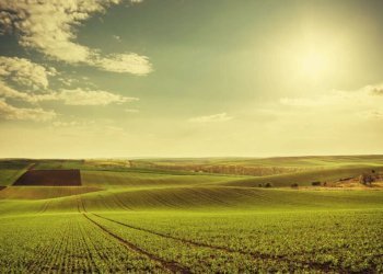 quando-si-puo-costruire-su-terreno-agricolo-2-2-80 - Terreno agricolo via masotto 6/8, Noventa Vicentina - foto 1