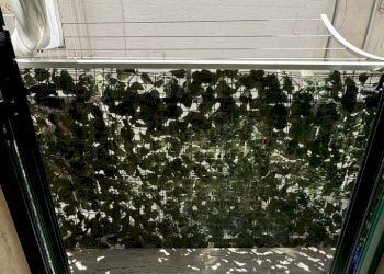 BALCONE - Bilocale Via Perugini 19, Monopoli - foto 11