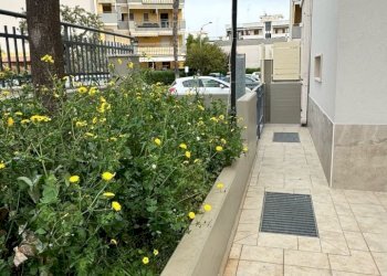 veranda - Bilocale Via Pietro Lorenzetti, Monopoli - foto 10