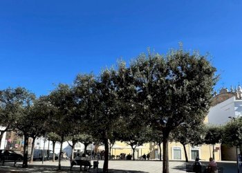 vista - Villa Piazza Alessandro Manzoni, Monopoli - foto 2