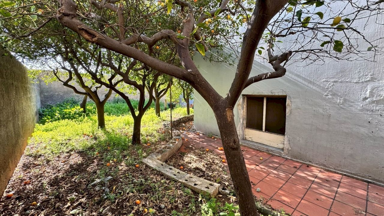 giardino - Villa Via Bixio, Monopoli - photo 2