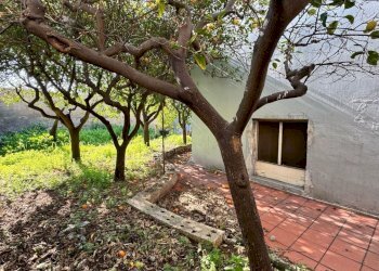 giardino - Villa Via Bixio, Monopoli - foto 2