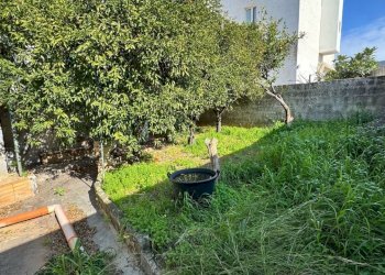 giardino - Villa Via Bixio, Monopoli - foto 9