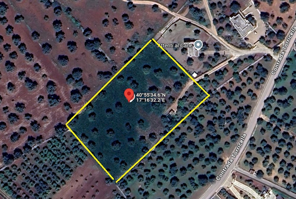 mappale terreno.png - Terreno edificabile Contrada Torricella, Monopoli - foto 1