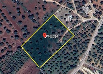 mappale terreno.png - Terreno edificabile Contrada Torricella, Monopoli - foto 1