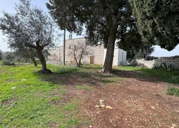 terreno - Porzione di casa contrada tavarello, Monopoli - foto 6