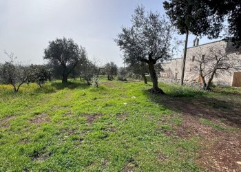 terreno - Porzione di casa contrada tavarello, Monopoli - foto 7