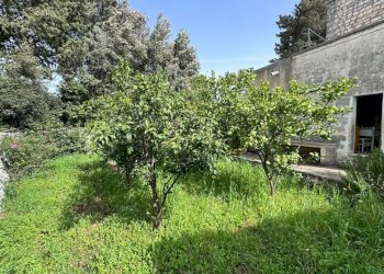 terreno - Porzione di casa contrada tavarello, Monopoli - foto 14